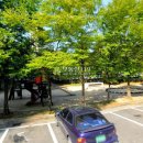 화신로-1 이미지