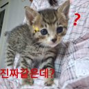 김유라헤어 이미지