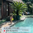 트리하우스 | 천안아산 근처 당일치기 여행지 추천/ 평택 트리하우스 후기/ 예약방법 및 가격정보&amp;수영장이용안내