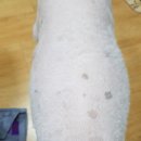 러블리숑 이미지