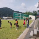 원천초등학교병설유치원 이미지