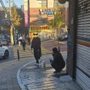 [11.28.] 다른 건 모르겠고, 써라운드 뷰 갖고 싶다.