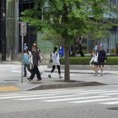 주식회사 미디어파랑