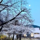 두리 락 | 경기도 양주 아이와 가볼만한곳 BEST 5! 주말 나들이 완벽 가이드