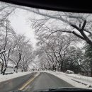 용인시립골드 테니스장 이미지