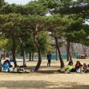 백운아트홀 건너 네이버블로그