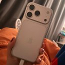 리플 | 아이폰 17 프로 실버 256GB 내돈내산 언박싱...o(*^▽^*)┛(+리플 케이스 후기)