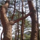연리지 - 군포시 당정역로4번길 11 | 연리지