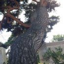 기산초교 이미지