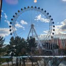 금이야 옥이야 | [속초가족여행2탄] 바담생선구이, 금이야옥이야, 보사노바 내돈내산 후기