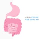 구토 구역질 원인 이유 이미지