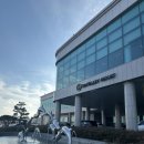 썬밸리해수사우나 | [고흥여행] 고흥 썬밸리리조트 내돈내산 후기