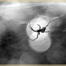 자연과한의원 수원 이미지