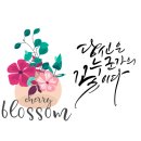 한국캘리그라피디자인센터 이미지