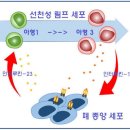 암세포 씨를 말리는 무서운 음식 14가지 이미지