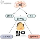 옵티마강남약국 이미지