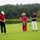 더라이선 네이버블로그