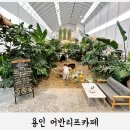 어반가드너 - 고양시 일산서구 킨텍스로 255 | 용인 식물원, 모래 놀이터가 있는 대형 베이커리 카페 어반리프 후기 아쉬운 점까지