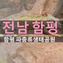 함평군보건소 1층 화장실 | 함평 아이랑 갈만한 곳 양서 파충류 생태공원 6세 남아 후기