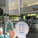 부일중 | 국립백두대간수목원 직원 힐링 프로그램 후기｜칼림바테라피 EAP 프로그램