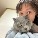 속눈썹바이진