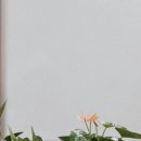 대천리중학교 이미지