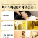 파라디아에스테틱