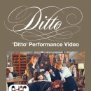 디토(Ditto)