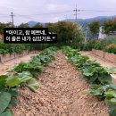 누리달아흐레
