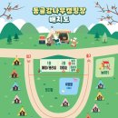 동글나무 이미지
