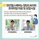담컴퍼니 이미지