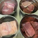 브라보 마이펫 이미지