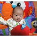 Travel Gym 이미지