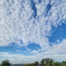 송라아쿠아 이미지