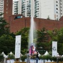 독립문 Daum카페