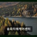 송파노인종합사회복지관(내) | 송파 치매케어센터 송파치매케어센터 믿을 수 있는 돌봄, 송파에서 찾다