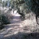 제내농장 이미지