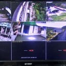 세계명견 감곡켄넬 이미지