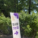 햇살나라유치원 | 2026 전주정원산업박람회 주차,체험,방문 후기