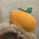아주꼬매헤어