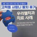 전주웰치과의원 | 고척동 매복 사랑니 발치 후기 우리웰치과 : 마취, 통증, 붓기