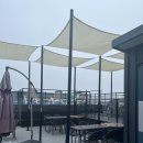 삼학 1947 이미지