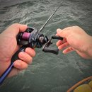 태안호스릴-9 | 충남 태안 쭈꾸미 낚시 체험 9월 구매항, 쭈깅스타 에어 티타늄+도요 라그나G2