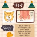 우신동물병원 이미지