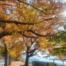 충주 별빛호수펜션 이미지