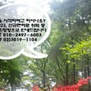 건설면허114 이미지