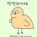 영차영차 이미지