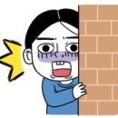 모리펫샵 이미지