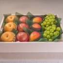 주식회사 다이스안전 이미지