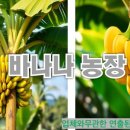 선자 농장 네이버블로그